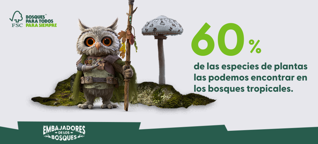 Embajadores de los bosques 2