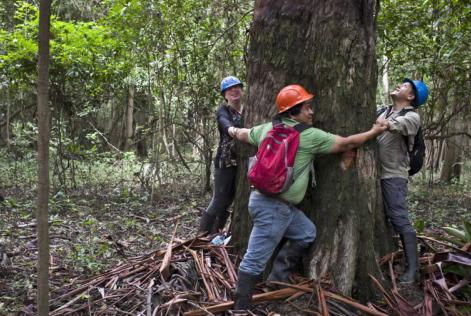 Nosotros certificamos grandes y pequeños bosques Nosotros certificamos grandes y pequeños bosques