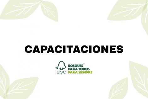 Módulos virtuales introductorios