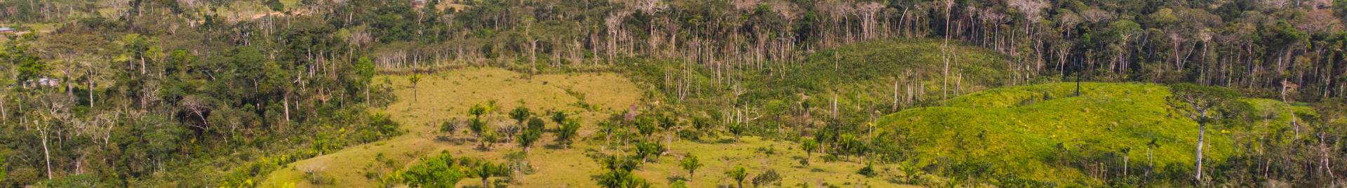 national_Madre de Dios, Perú_concession